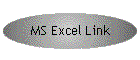 MS Excel Link