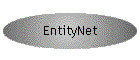EntityNet